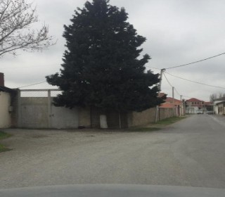 Satılır Torpaq, Xəzər.r, Şüvəlan-5