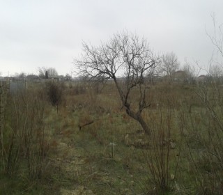 Satılır Torpaq, Sabunçu.r, Nardaran, Koroğlu.m-2