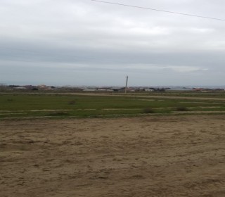 Satılır Torpaq, Abşeron.r, Goradil, Azadlıq.m-2
