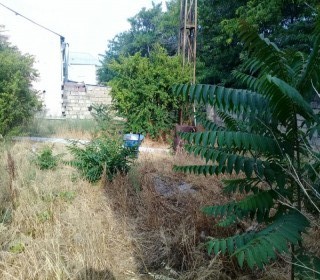 Satılır Torpaq, Sabunçu.r-1