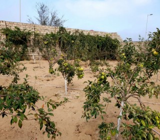 Satılır Həyət evi, Xəzər.r, Şüvəlan, Koroğlu.m-2