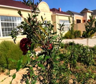 Satılır Həyət evi, Xəzər.r, Qala, Koroğlu.m-11