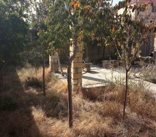 goradil emlak elanlari, -7