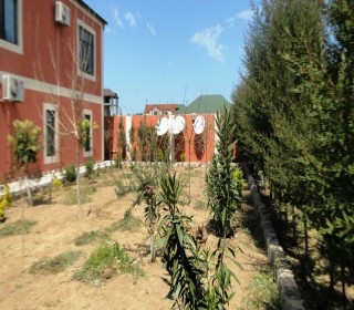 Satılır Həyət evi, Xəzər.r, Buzovna, Koroğlu.m-12