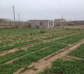 Satılır Torpaq, Sabunçu.r, Bilgəh, Koroğlu.m-1