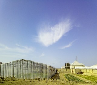 Satılır Torpaq, Sabunçu.r, Bilgəh, Koroğlu.m-7