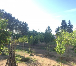 Satılır Həyət evi, Xəzər.r, Qala, Koroğlu.m-13