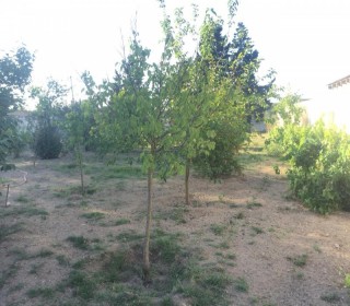 Satılır Həyət evi, Xəzər.r, Qala, Koroğlu.m-14