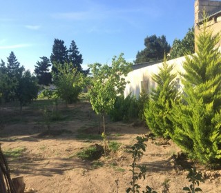 Satılır Həyət evi, Xəzər.r, Qala, Koroğlu.m-16