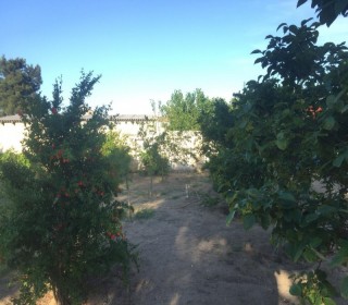 Satılır Həyət evi, Xəzər.r, Qala, Koroğlu.m-17