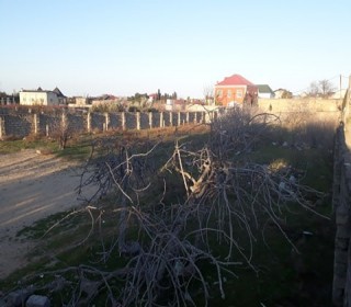 Satılır Torpaq, Sabunçu.r, Koroğlu.m-4