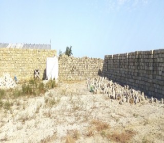 Satılır Torpaq, Xəzər.r, Türkan, Həzi Aslanov.m-5