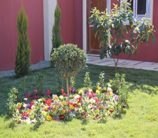 Satılır Həyət evi, Pirallahı.r, Pirallahı-16