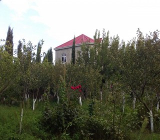 novxanıda köhnə baların satışı, -1