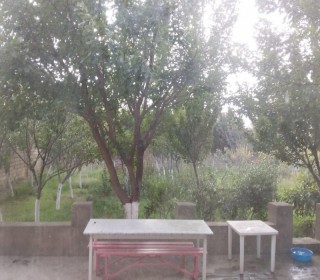 novxanıda köhnə baların satışı, -4