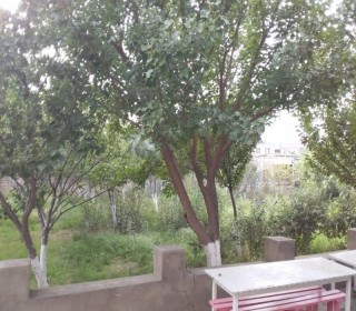 novxanıda köhnə baların satışı, -7