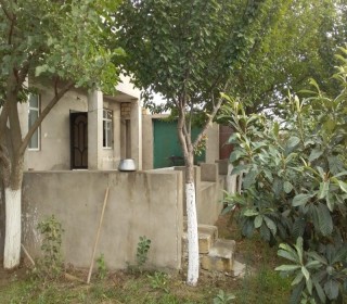 novxanıda köhnə baların satışı, -9