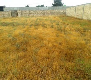 Satılır Torpaq, Xəzər.r, Buzovna-6