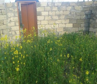 Satılır Torpaq, Abşeron.r, Novxanı-6