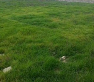 Satılır Torpaq, Sabunçu.r, Bakıxanov-2