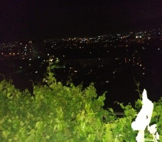 Satılır Villa, Binəqədi.r, 9-cu mikrorayon, Memar Əcəmi.m-5