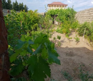 Satılır Həyət evi, Xəzər.r, Mərdəkan, Koroğlu.m-5