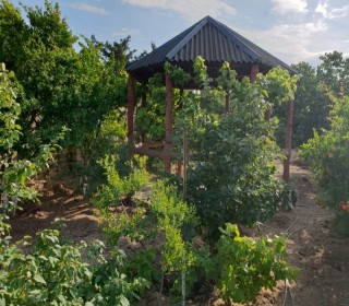 Satılır Həyət evi, Xəzər.r, Mərdəkan, Koroğlu.m-8