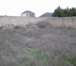 Satılır Torpaq, Abşeron.r, Saray-9