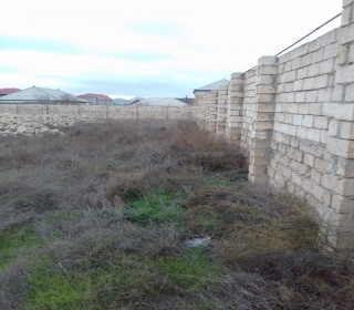 Satılır Torpaq, Abşeron.r, Saray-10