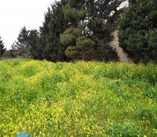 Satılır Torpaq, Xəzər.r, Mərdəkan-1