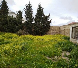 Satılır Torpaq, Xəzər.r, Mərdəkan-6