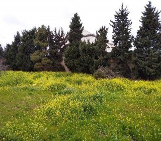 Satılır Torpaq, Xəzər.r, Mərdəkan-7