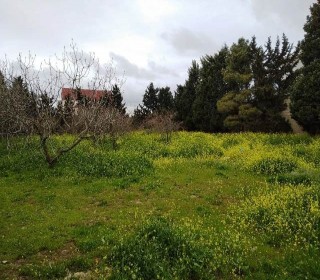 Satılır Torpaq, Xəzər.r, Mərdəkan-10