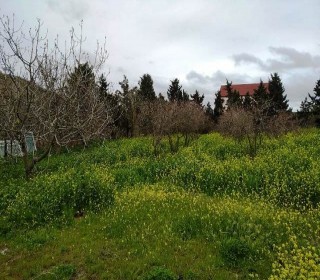 Satılır Torpaq, Xəzər.r, Mərdəkan-11