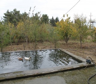 Satılır Torpaq, Abşeron.r, Novxanı, Azadlıq.m-3