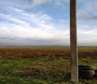 Satılır Torpaq, Abşeron.r, Novxanı-7
