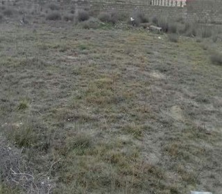 Satılır Torpaq, Xəzər.r-1