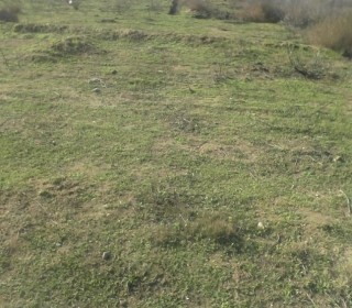 Satılır Torpaq, Xəzər.r-3