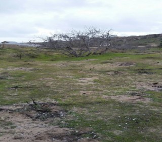 Satılır Torpaq, Sabunçu.r, Maştağa, Koroğlu.m-2