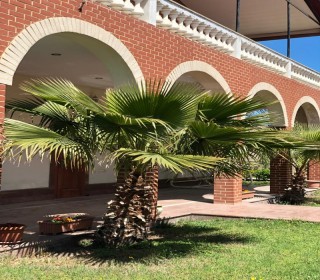 Kirayə (Aylıq) Villa, Xəzər.r, Şüvəlan, Koroğlu.m-16