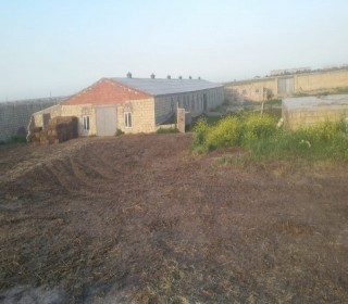 Satılır Obyekt, Abşeron.r, Koroğlu.m-1