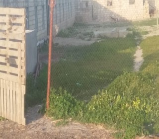 Satılır Obyekt, Abşeron.r, Koroğlu.m-4