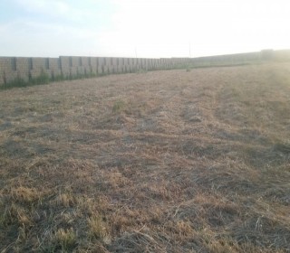 Satılır Obyekt, Abşeron.r, Koroğlu.m-7