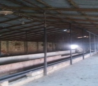 Satılır Obyekt, Abşeron.r, Koroğlu.m-8