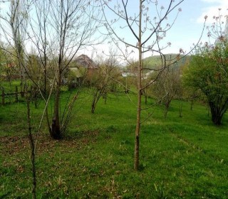Satılır Torpaq, Qəbələ.ş-1