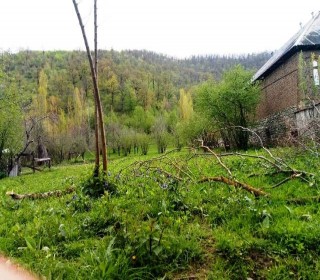 Satılır Torpaq, Qəbələ.ş-2