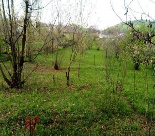 Satılır Torpaq, Qəbələ.ş-3