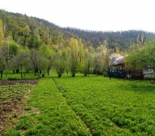 Satılır Torpaq, Qəbələ.ş-7