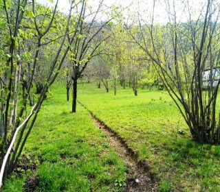 Satılır Torpaq, Qəbələ.ş-8