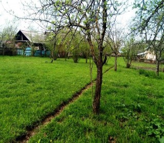 Satılır Torpaq, Qəbələ.ş-11